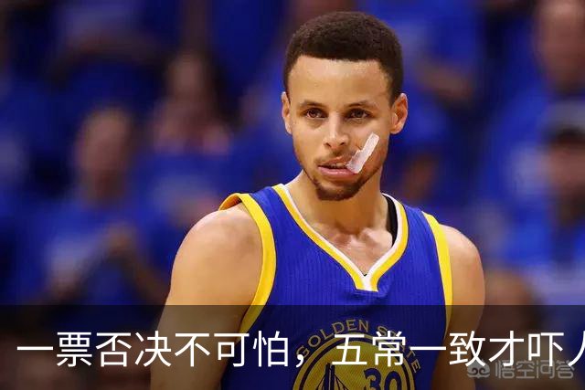 一票否决不可怕，五常一致才吓人，五双手同时举就有国家要变天