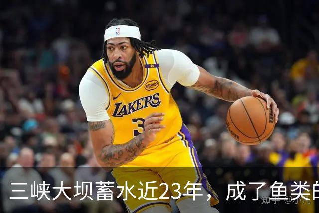 三峡大坝蓄水近23年，成了鱼类的天堂，如今库区最大鱼有多大？