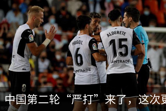 中国第二轮“严打”来了，这次更严格，查到的一个都跑不了！