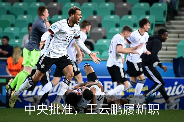 中央批准，王云鹏履新职