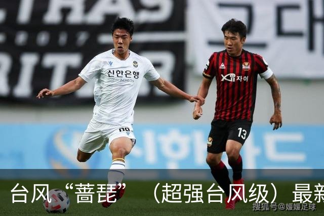台风“蔷琵”（超强台风级）最新路径公布，最大风力达17级，将给浙沪闽台带来强风雨，或在福建二次登陆