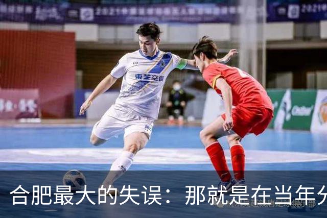 合肥最大的失误：那就是在当年分巢湖的时候，竟然没有拿下无为县