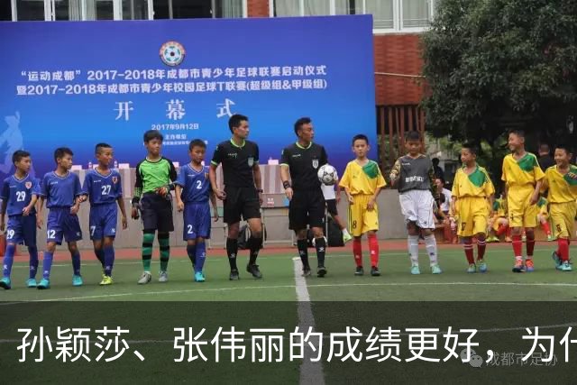 孙颖莎、张伟丽的成绩更好，为什么“赚不过”郑钦文