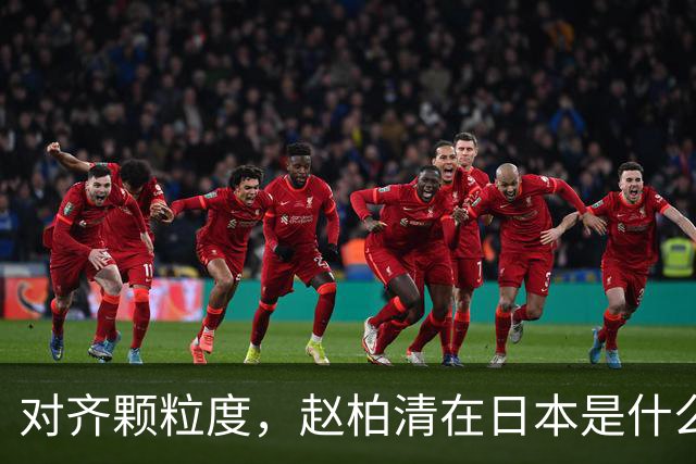 对齐颗粒度，赵柏清在日本是什么水平？