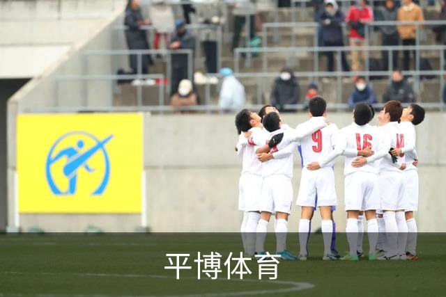 平博体育公司简介