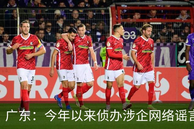 广东：今年以来侦办涉企网络谣言案件56起