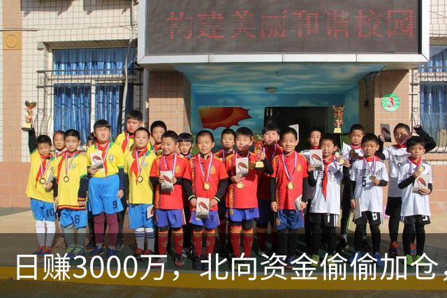 日赚3000万，北向资金偷偷加仓，A股第一真龙迎来机会？