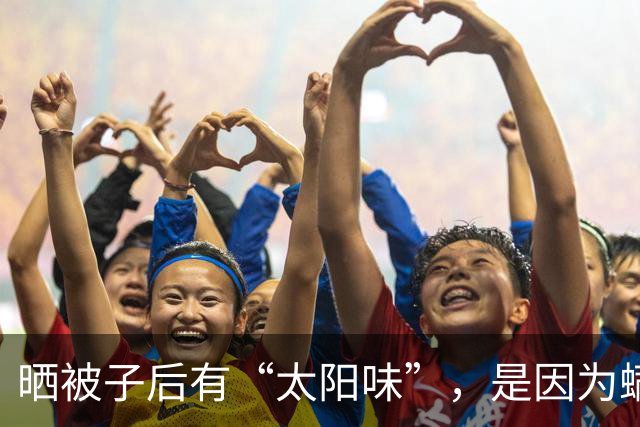 晒被子后有“太阳味”，是因为螨虫被烤焦了？科学家：太阳的功劳