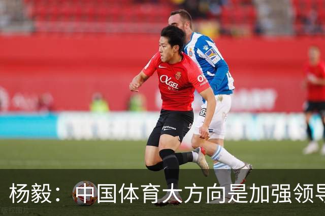 杨毅：中国体育大方向是加强领导 篮球已用7年证明专业人士也不行