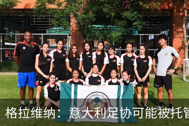 格拉维纳：意大利足协可能被托管？这不是值得骄傲的事情