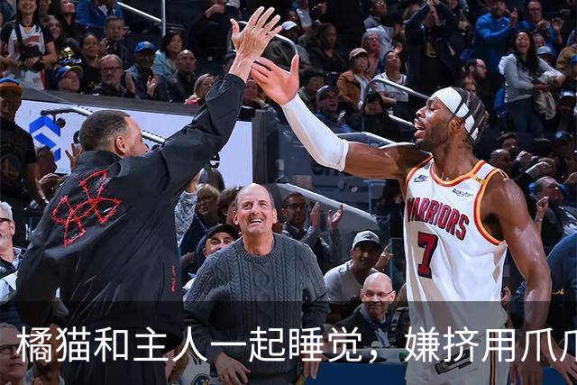 橘猫和主人一起睡觉，嫌挤用爪爪推人，全网萌翻：咋还藏了只小鸡