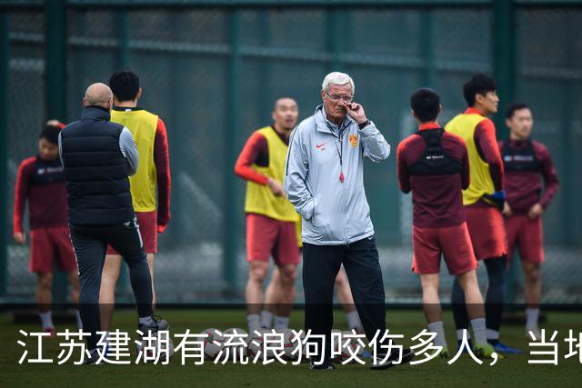 江苏建湖有流浪狗咬伤多人，当地：疯狗已被处理，已有被咬人员接种狂犬病疫苗