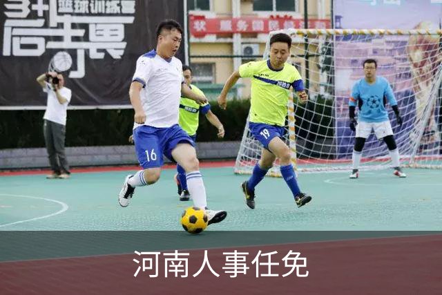 河南人事任免