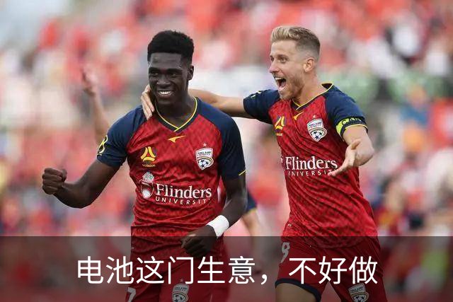 电池这门生意，不好做