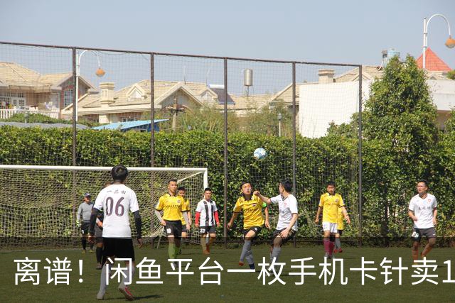 离谱！闲鱼平台一枚手机卡针卖1000元，这是圈内人才懂的涉黄暗号