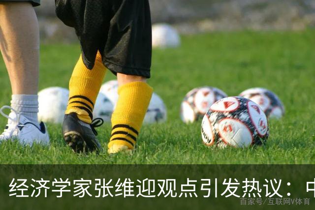 经济学家张维迎观点引发热议：中国经济的未来，要靠自由市场吗？
