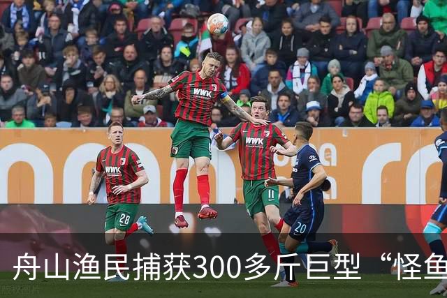 舟山渔民捕获300多斤巨型“怪鱼”，已放归大海，经辨认系翻车鱼，是已知世界上生殖力最强的脊椎动物；网友：以为是一块大石头