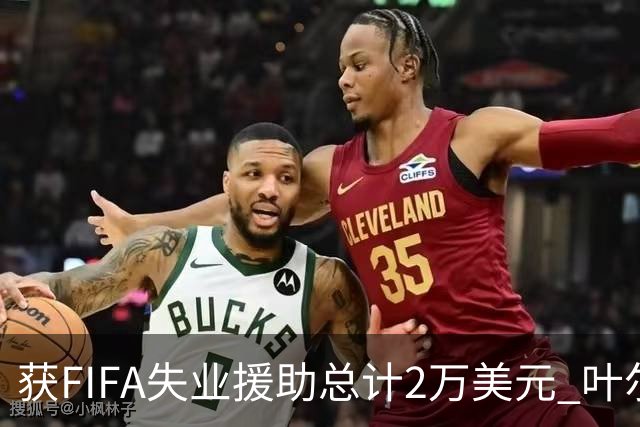 获FIFA失业援助总计2万美元 叶尔杰提成中国球员第一人