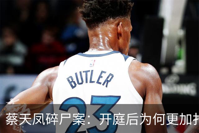 蔡天凤碎尸案：开庭后为何更加扑朔迷离？