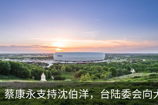 蔡康永支持沈伯洋，台陆委会向大陆喊话，国民党一人暴露真面目