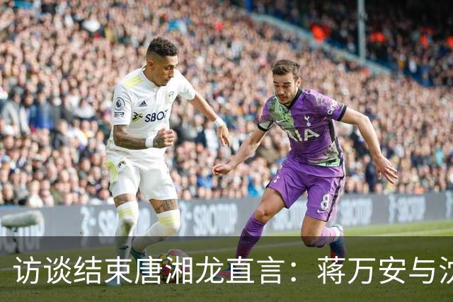 访谈结束唐湘龙直言：蒋万安与沈伯洋，不过是两个半斤八两的强盗