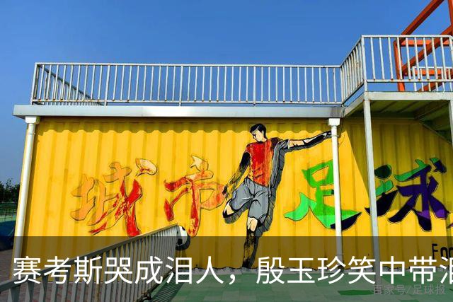 赛考斯哭成泪人，殷玉珍笑中带泪，联合国的这段视频，感动全场