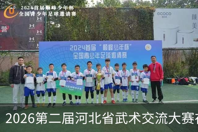 2026第二届河北省武术交流大赛在沧州开幕